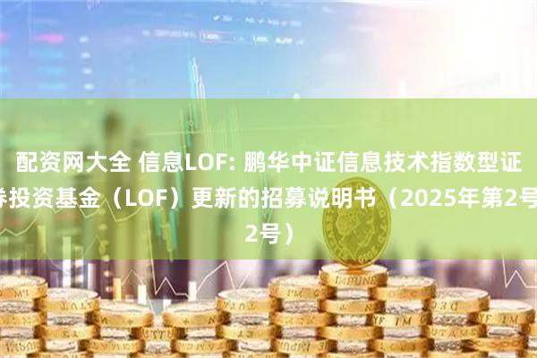 配资网大全 信息LOF: 鹏华中证信息技术指数型证券投资基金（LOF）更新的招募说明书（2025年第2号）